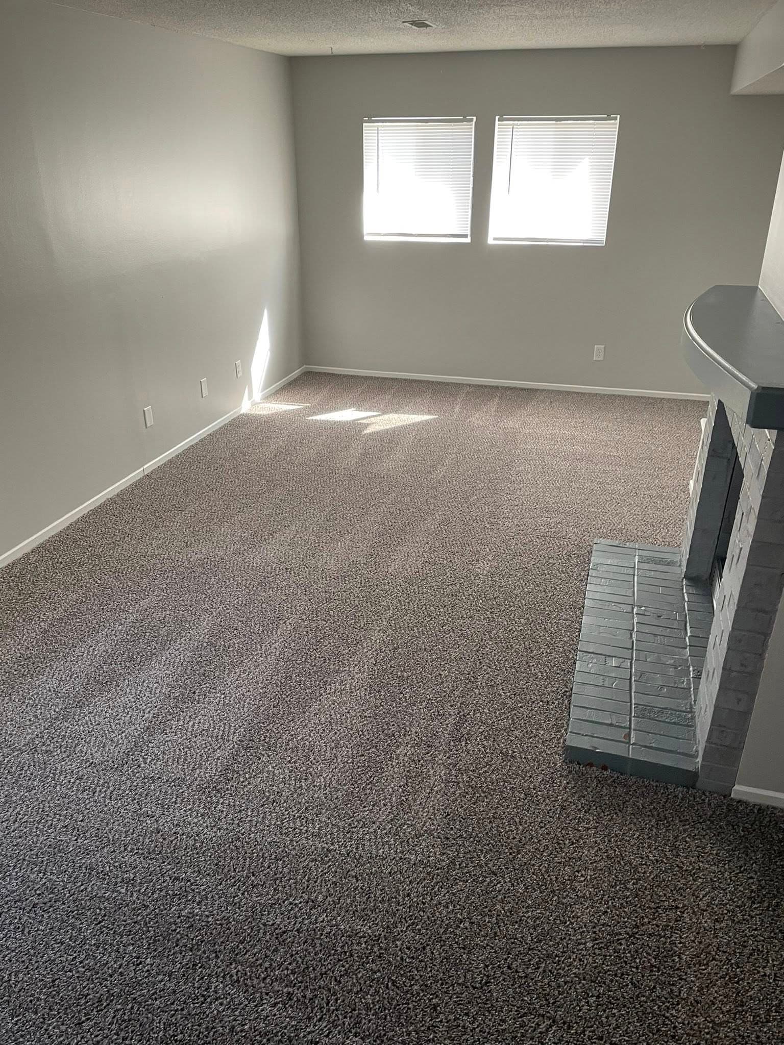 Professional carpet cleaning services
