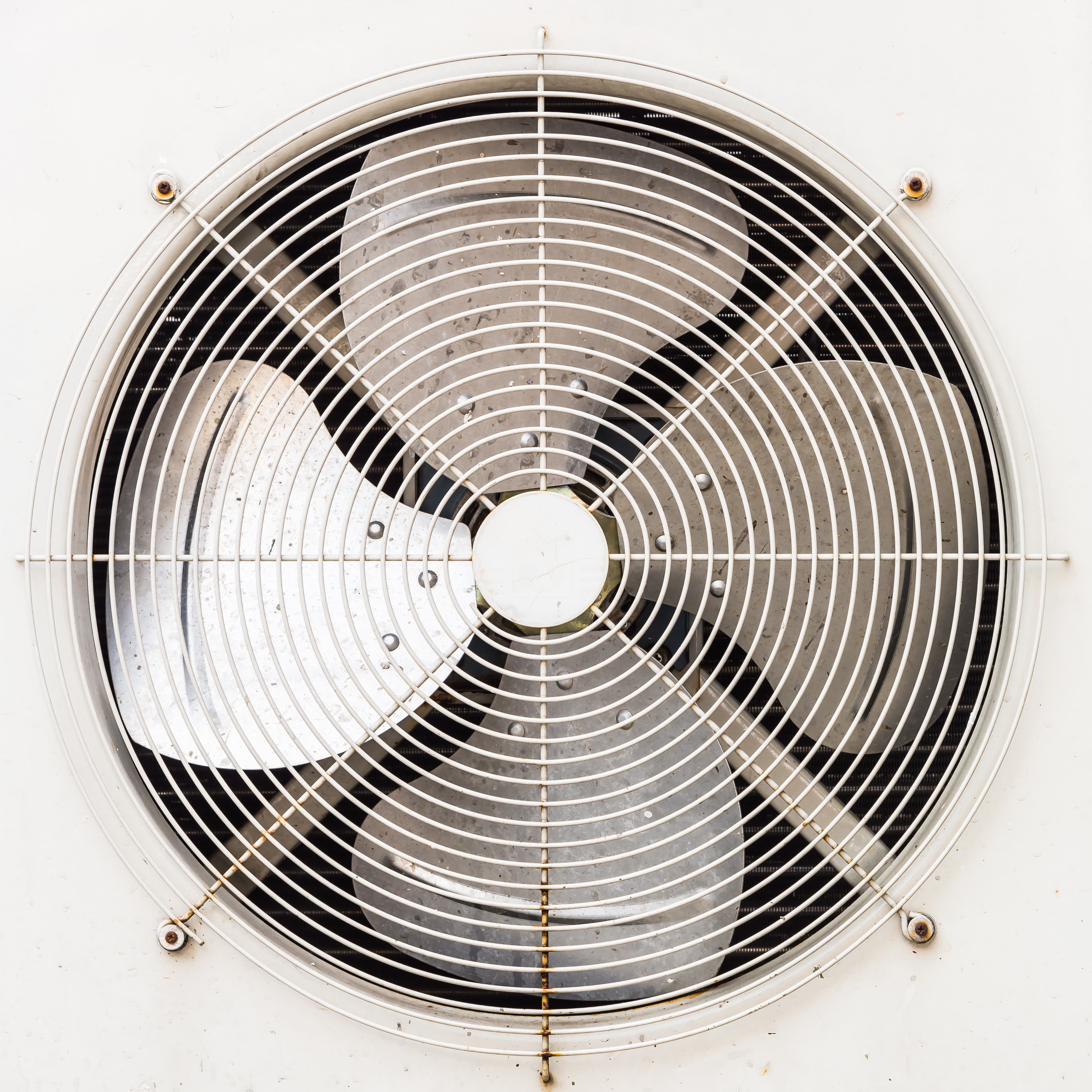 Water extraction and drying services